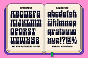 TNSC Burgos - Slab Serif, a Slab Serif Font by The Native Saint Club (Thumbnail 7 of 12)