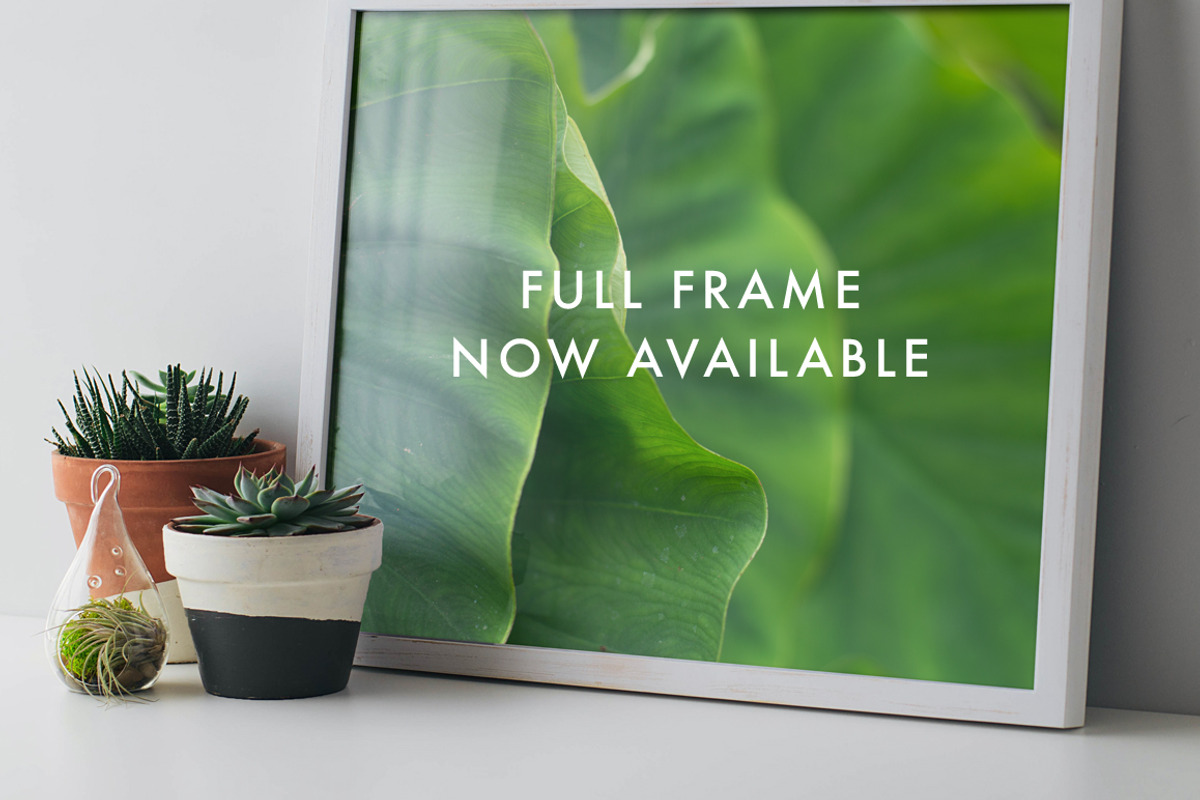 Artist Series Framed Print Mockup #2, a Print Template by Tina Crespo (Photo 3 of 3)