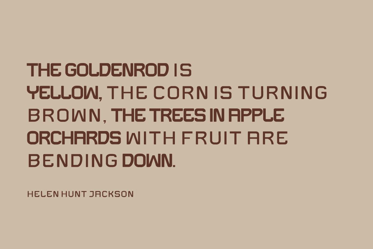 Frigo, a Sans Serif Font by twinstd (Photo 3 of 11)