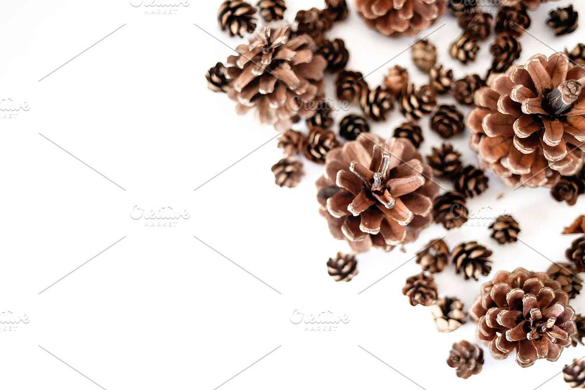 Deep Fall Bundle - Stock Photos, a Print Template by SunnyTangerine Stock (Photo 6 of 12)