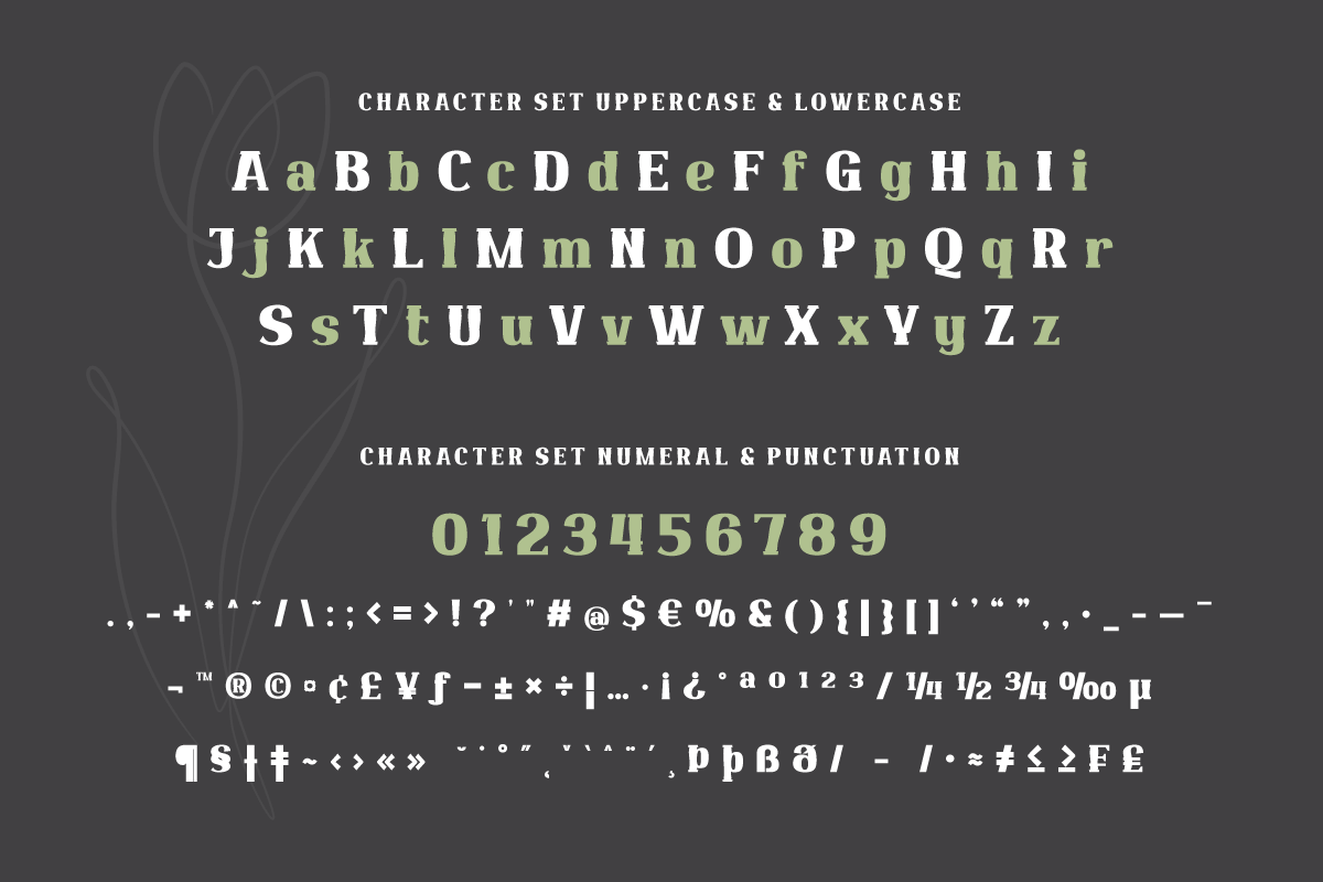 Qekruz | Serif Classic Modernism, a Serif Font by twinstd (Photo 10 of 13)