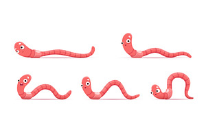 Cartoon funny worm. Animation, an Animal Illustration by Vector Tradition