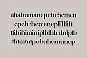 Mathilga Ligature Serif Typeface, a Serif Font by Storytype Studio (Thumbnail 13 of 15)