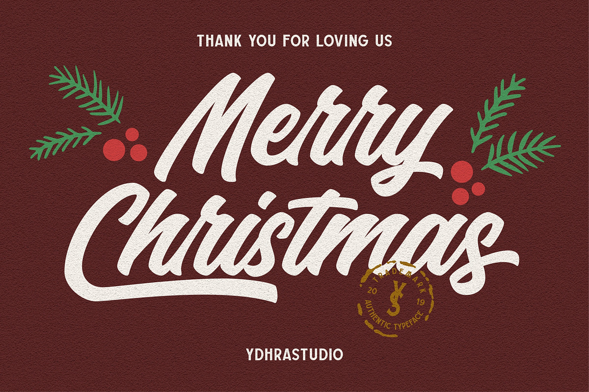 Haydes Script Font, a Script Font by YdhraStudio (Photo 12 of 12)