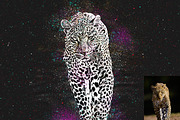 Grunge Spray Art Photoshop Action, an Action Add-On by Studio Retouch (Thumbnail 3 of 18)