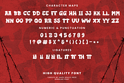 Flux Youth Playful Graffiti, a Serif Font by Haps Space (Thumbnail 10 of 10)
