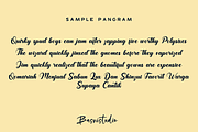 Sageland Script Font, a Script Font by Basnistudio (Thumbnail 5 of 7)