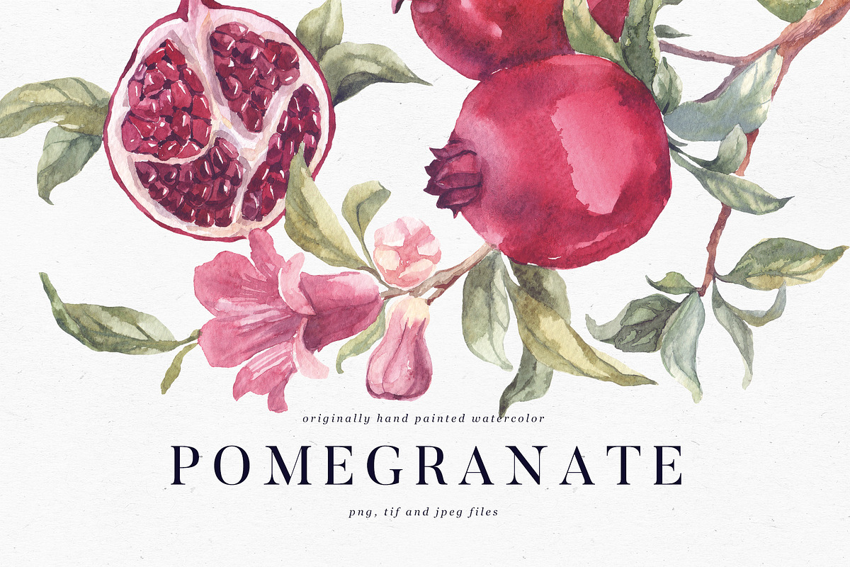 Watercolor pomegranate branch, an Object Illustration by Tilling (Photo 1 of 3)