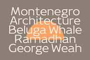 Neira - Sans Serif Family, a Sans Serif Font by Viswell (Thumbnail 2 of 10)