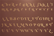 La Vamora | Fancy Modern Serif font, a Serif Font by MchCrafter (Thumbnail 15 of 15)