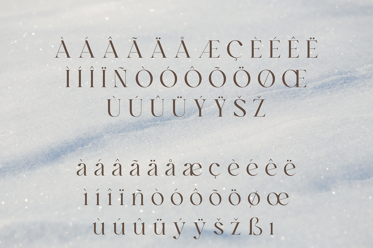 Ankadi Serif, a Serif Font by Creative Foundry (Photo 7 of 8)