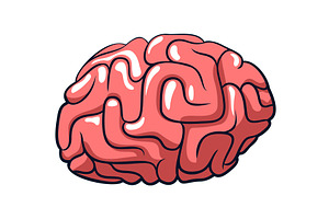 Pink cartoon brain with rounded