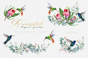 Hummingbird Birds Collection, an Illustration by ReachDreams (Thumbnail 2 of 5)