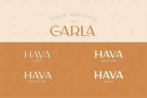 Carla Sans - Elegant Typeface