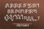 Gradual Adapty, a Serif Font by Rishsketch (Thumbnail 11 of 14)
