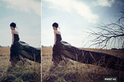 Split Tone Presets Mobile + Desktop, a Plug-in Add-On by PhotoSpirit (Thumbnail 2 of 10)