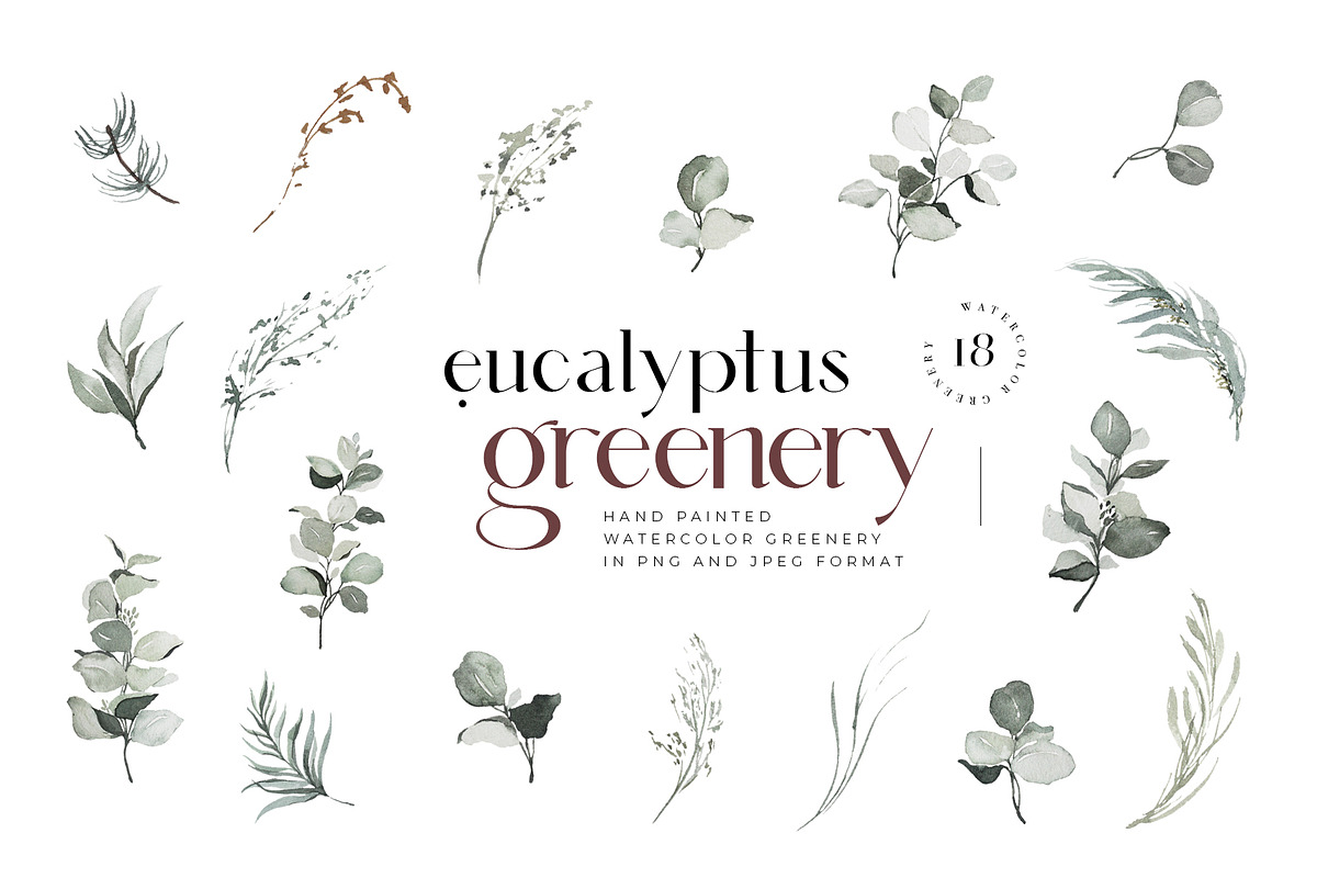 Eucalyptus Watercolor Greenery Frame, an Illustration by WalaPalette (Photo 5 of 8)
