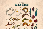 Wild Birds, an Animal Illustration by Ink Stories (Thumbnail 7 of 20)