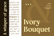 Hagios - Serif Family, a Serif Font by Novitype (Thumbnail 12 of 15)
