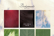Petals Garden Collage Kit, an Object Graphic by Purple (Thumbnail 9 of 15)