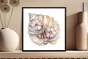 Pink Sea Adventure Clipart, an Illustration by DreamCafeArt (Thumbnail 7 of 8)