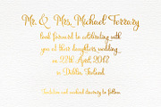 Rubynt, a Script Font by Digital Typeface Studio (Thumbnail 4 of 8)