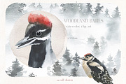 Woodland Babies Wild Animals Clipart, an Animal Illustration by whiteheartdesign (Thumbnail 13 of 28)