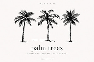 Palm Trees, an Object Illustration by PeDe Designs
