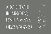Amera Elegant Serif Font Typeface, a Serif Font by Perfectype (Thumbnail 7 of 7)