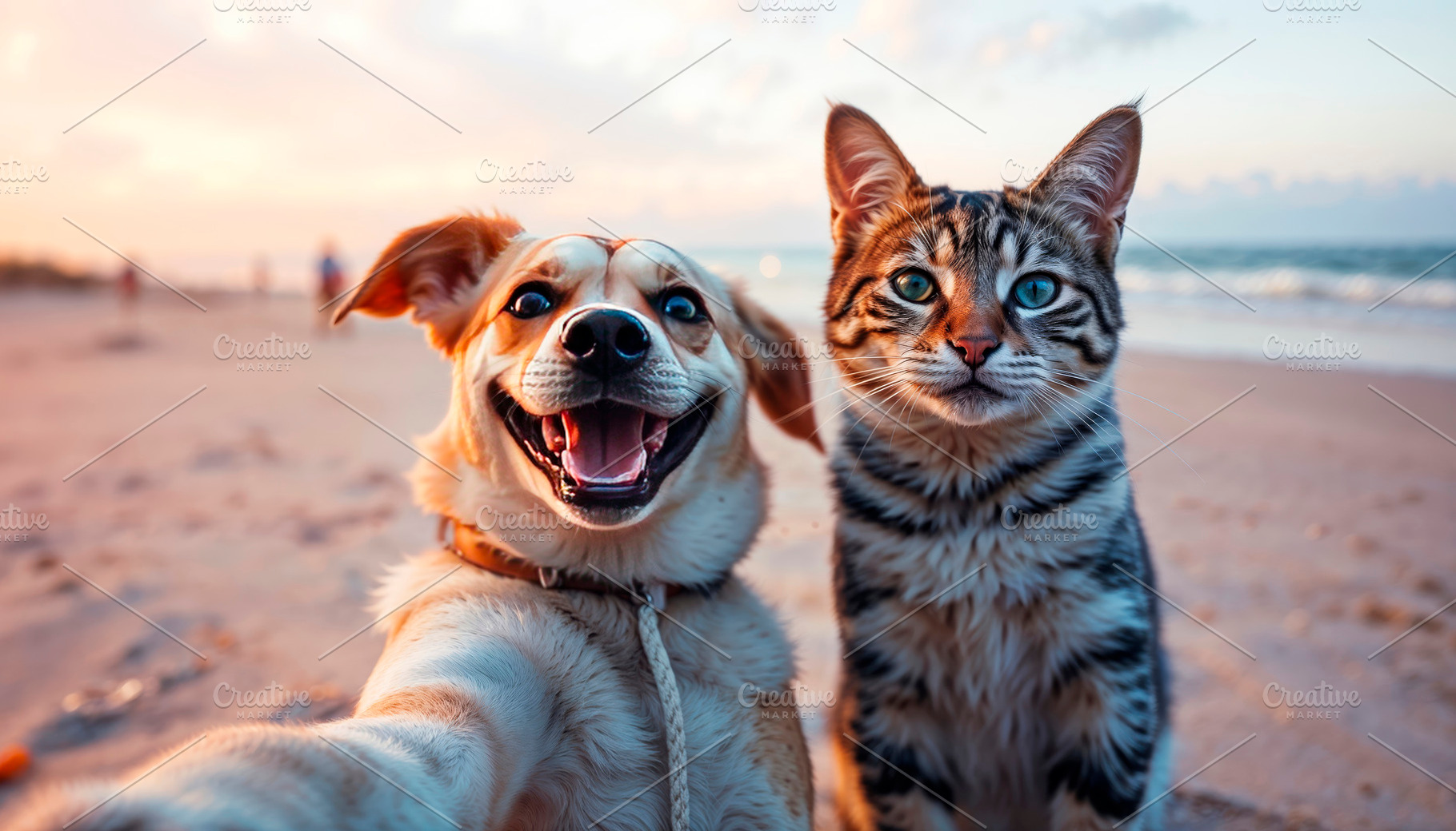 Cheerful and happy dog and cat, best, an Animal Photo by TatsianaSalauyova