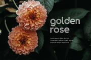 Golden Arrow Classy Modern Geometric, a Sans Serif Font by UICreative (Thumbnail 2 of 5)