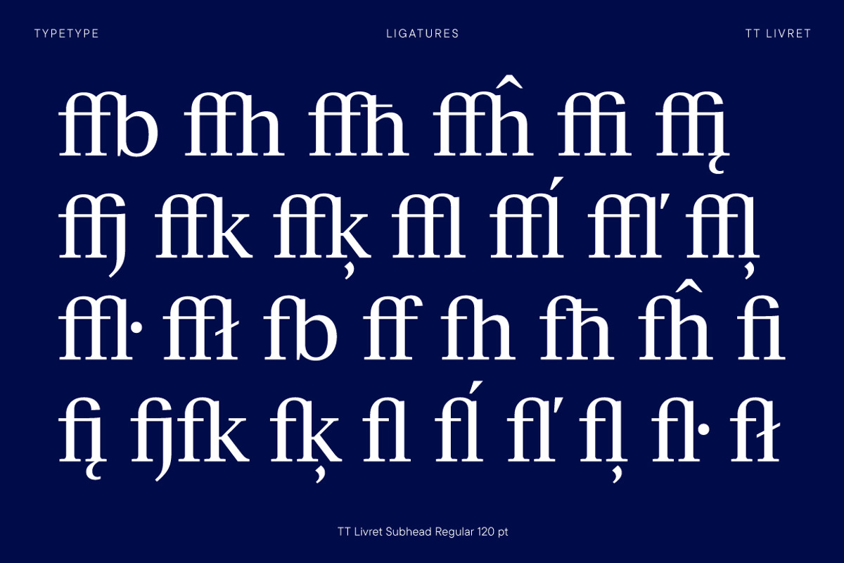 TT Livret, a Serif Font by TypeType (Photo 12 of 15)