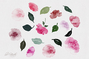 Watercolour Roses Procreate Stamps