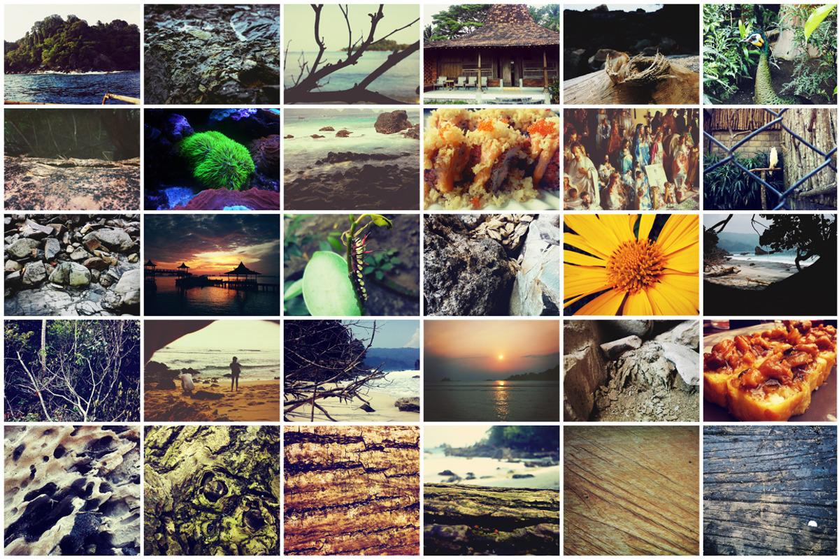 150 Photos + Bonus, a Templates & Theme by alyaphotoworks (Photo 4 of 5)