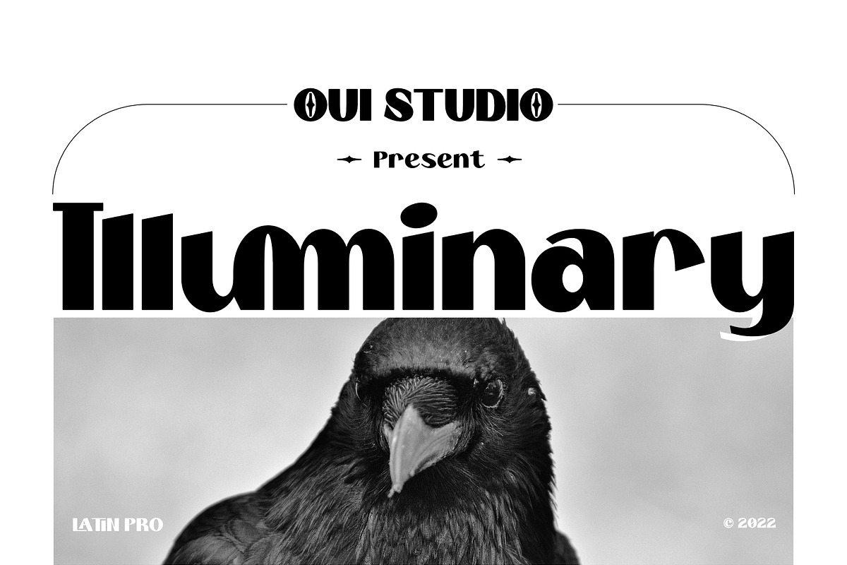 Illuminary Modern Sans Serif, a Sans Serif Font by Oui Studio (Photo 1 of 10)
