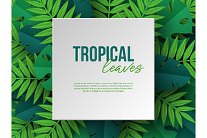 Set Of Designs With Tropical Leaves.