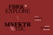 Fab Display - Editorial Font, a Serif Font by Biro AMDS (Thumbnail 6 of 8)