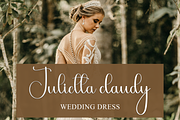 This Signature, a Handwritten Font by FreshTypeINK (Thumbnail 6 of 7)