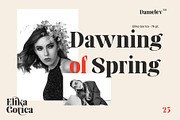 Elika Gorica, a Serif Font by Damelev (Thumbnail 9 of 11)