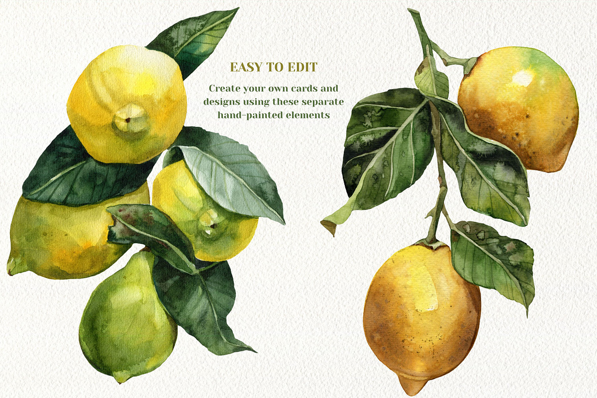 Watercolor Juicy Hand-Painted Lemons, an Object Graphic by Artcard Watercolor (Photo 6 of 9)