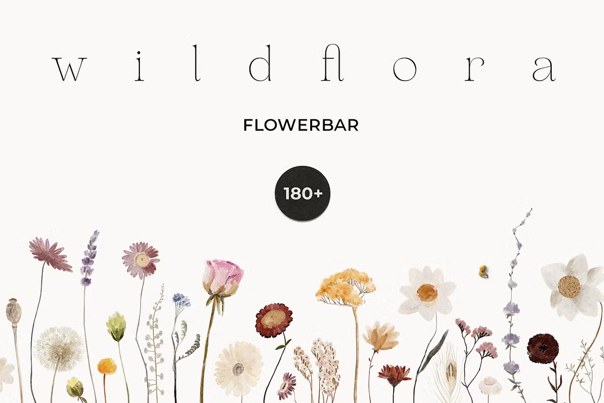 Watercolor Wildflowers Bundle, a Decorative Illustration by Lana Elanor (Photo 5 of 9)