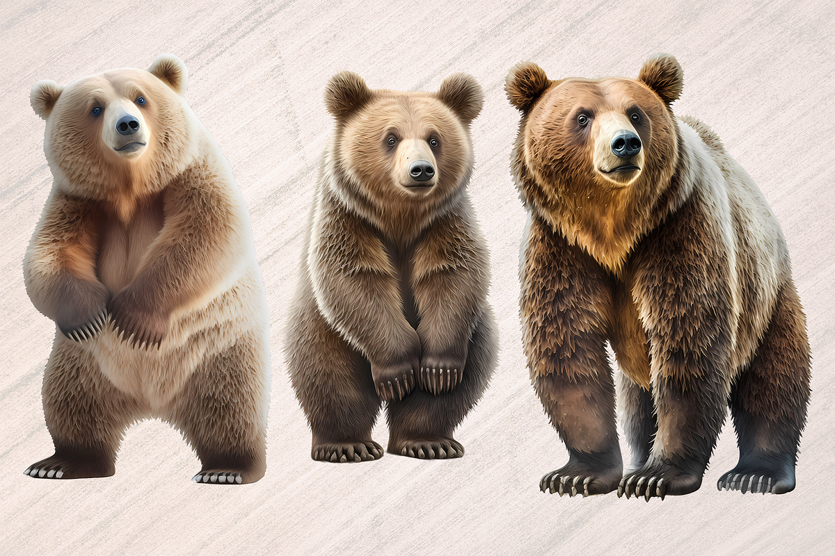 Wild Bears Sublimation - 6 PNGs, an Animal Illustration by Leakedink (Photo 2 of 2)