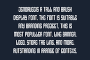Jenoruec - Brush & Paint Font, a Sans Serif Font by QR Design Studio (Thumbnail 3 of 6)