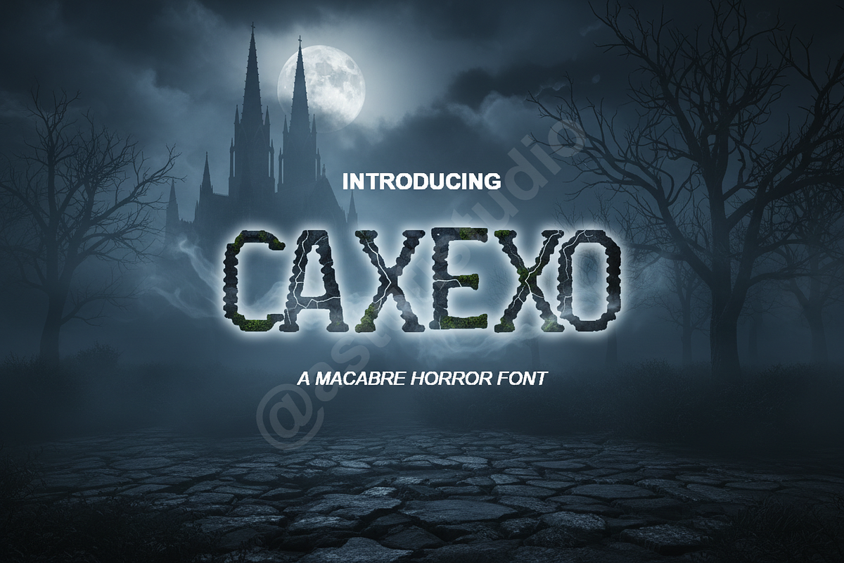 Caxexo: Elegant High-Contrast Serif, a Font by Astuti Studio (Photo 1 of 16)