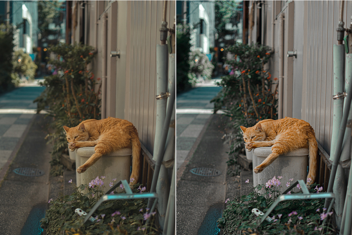 25 Japan Lightroom Presets, an Action Add-On by Viktor Gjokaj (Photo 7 of 11)