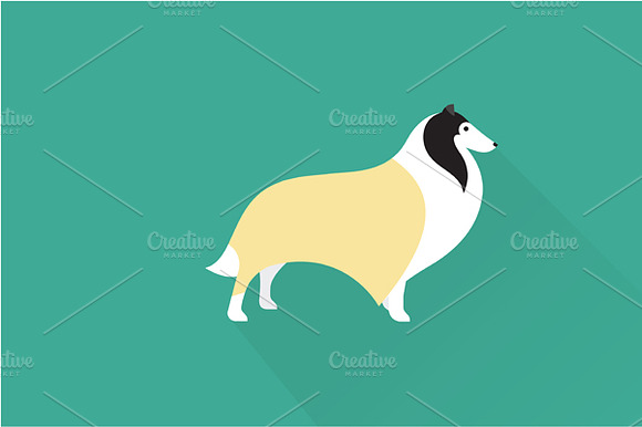 Collie Dog Icon