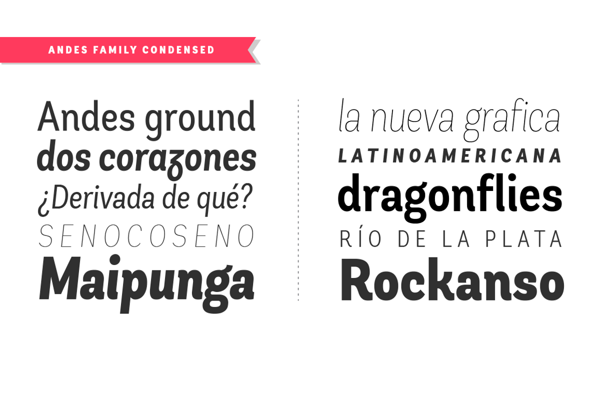 Andes Condensed preview 3