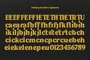 Aveburg Grande - Retro Chunk, a Serif Font by Shapespired Design (Thumbnail 21 of 22)