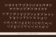 Bellarin, a Script Font by Integritype Studio (Thumbnail 13 of 16)