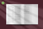 Letter Publication System · Affinity, a Magazine Template by Sasha Lantukh (Thumbnail 7 of 11)